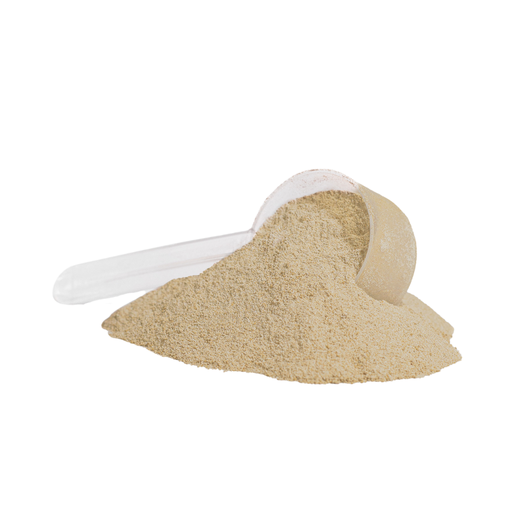 Whey Protein (Vanilla)